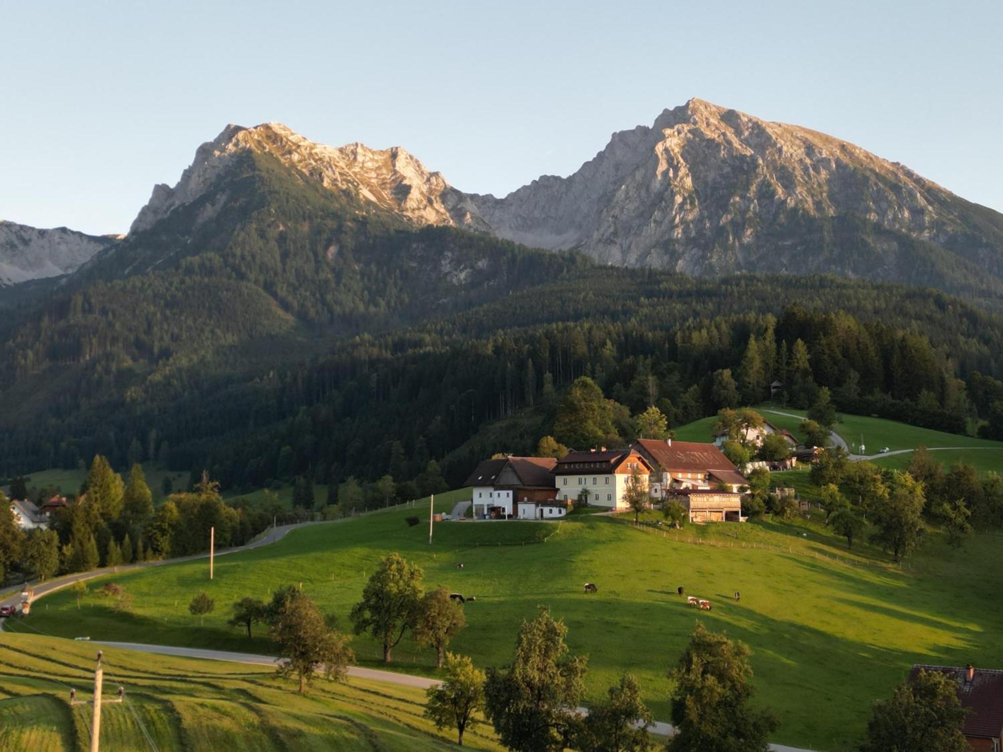 Singerskogel - Ferienhof Und Jausnstub'N Шпиталь-ам-Пихрн Экстерьер фото